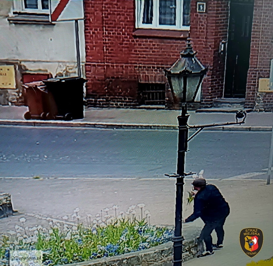 fot. SM Leszno