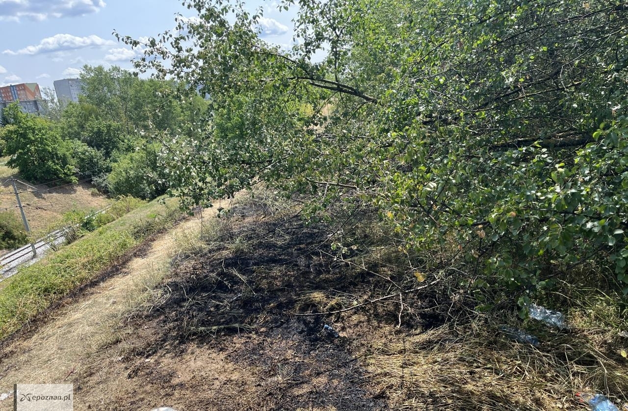 fot. Czytelniczka
