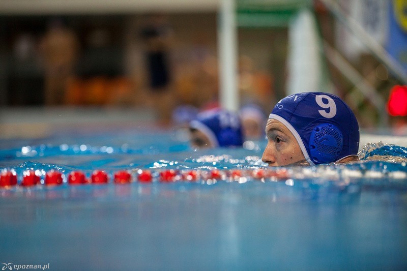 DSW Waterpolo Poznań - Half Moon 8:7 | fot. Tomasz Szwajkowski