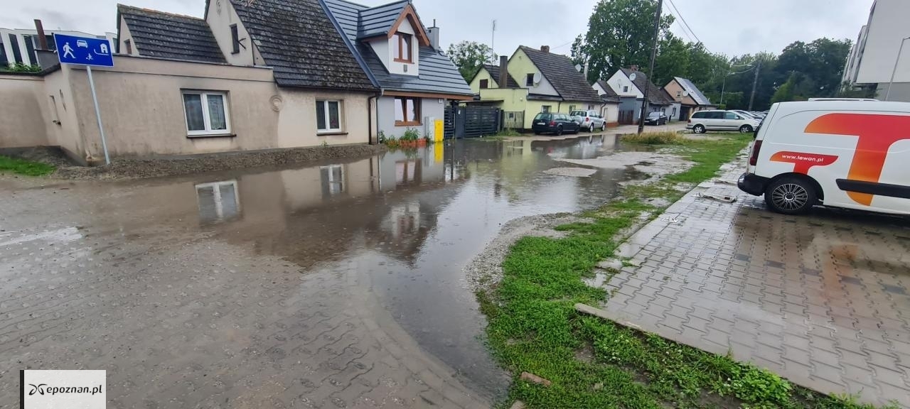 Pszczyńska / Leszczyńska Poznań | fot. Czytelnik