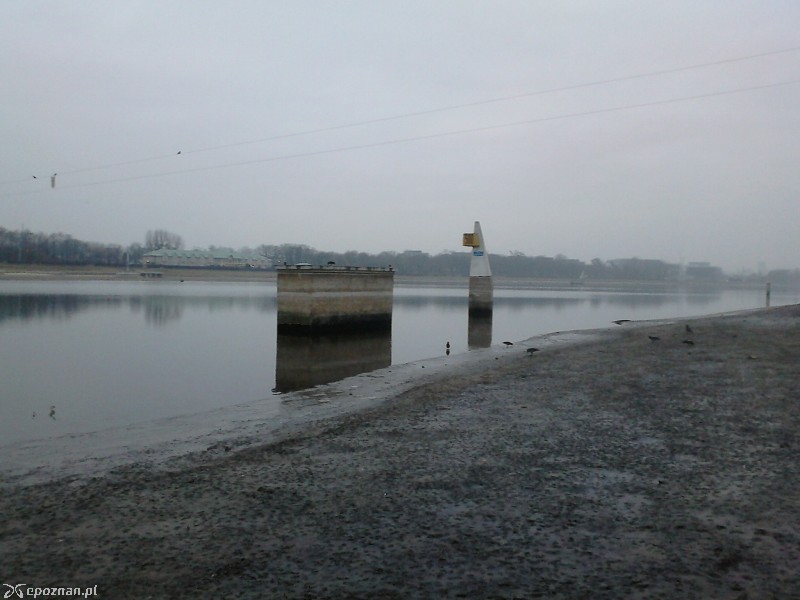 fot. Andrzej