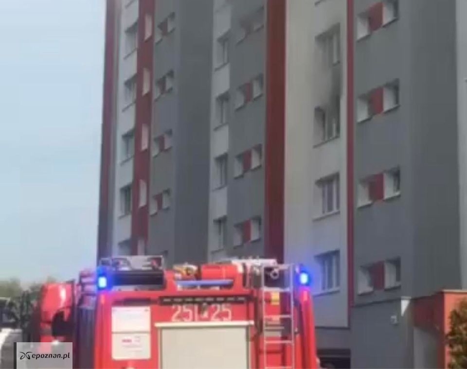 fot. poznan_moment IG