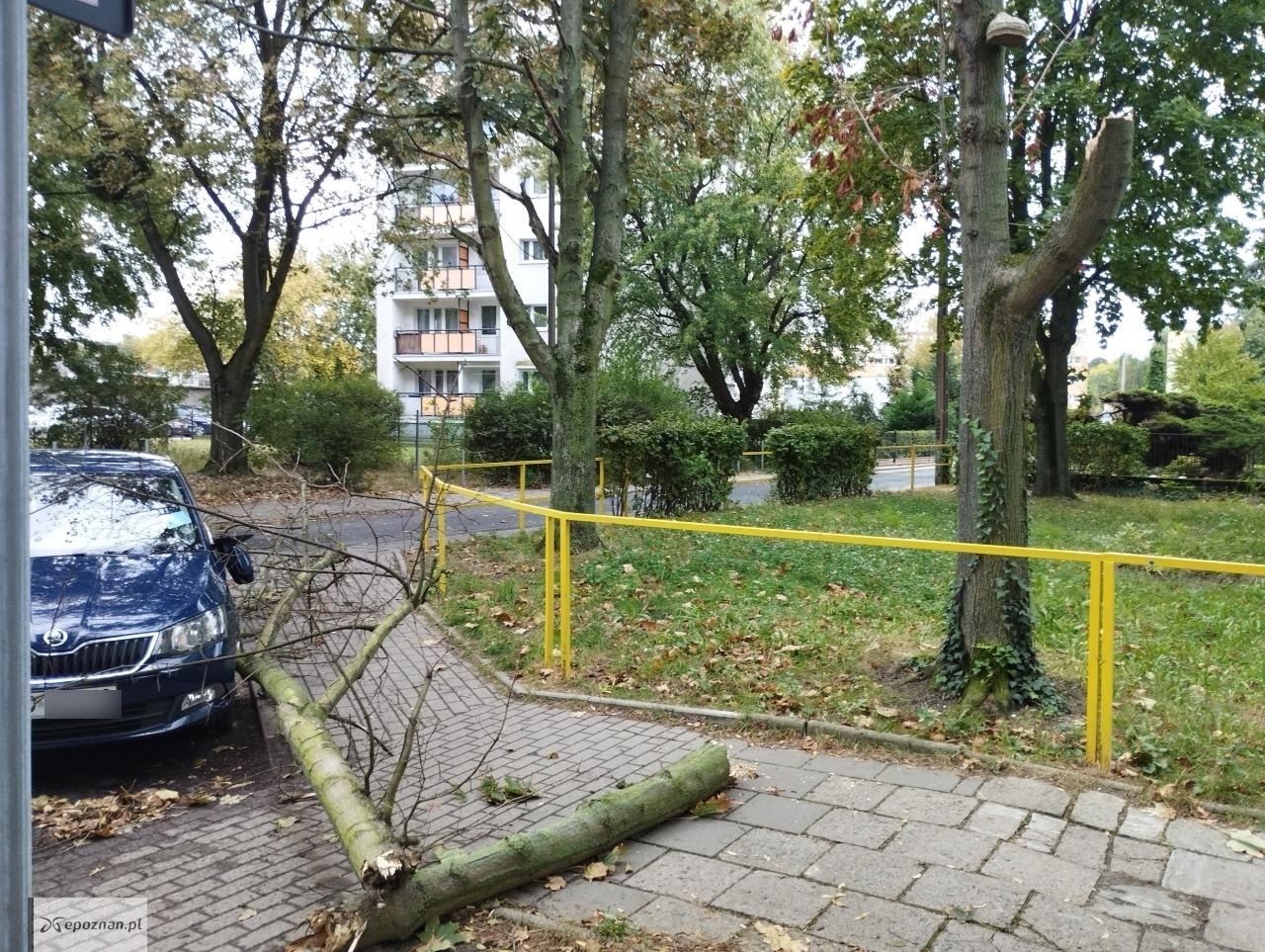 Ulica Poranek w Poznaniu | fot. Czytelnik
