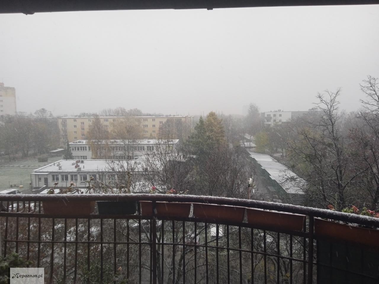 fot. Czytelnik