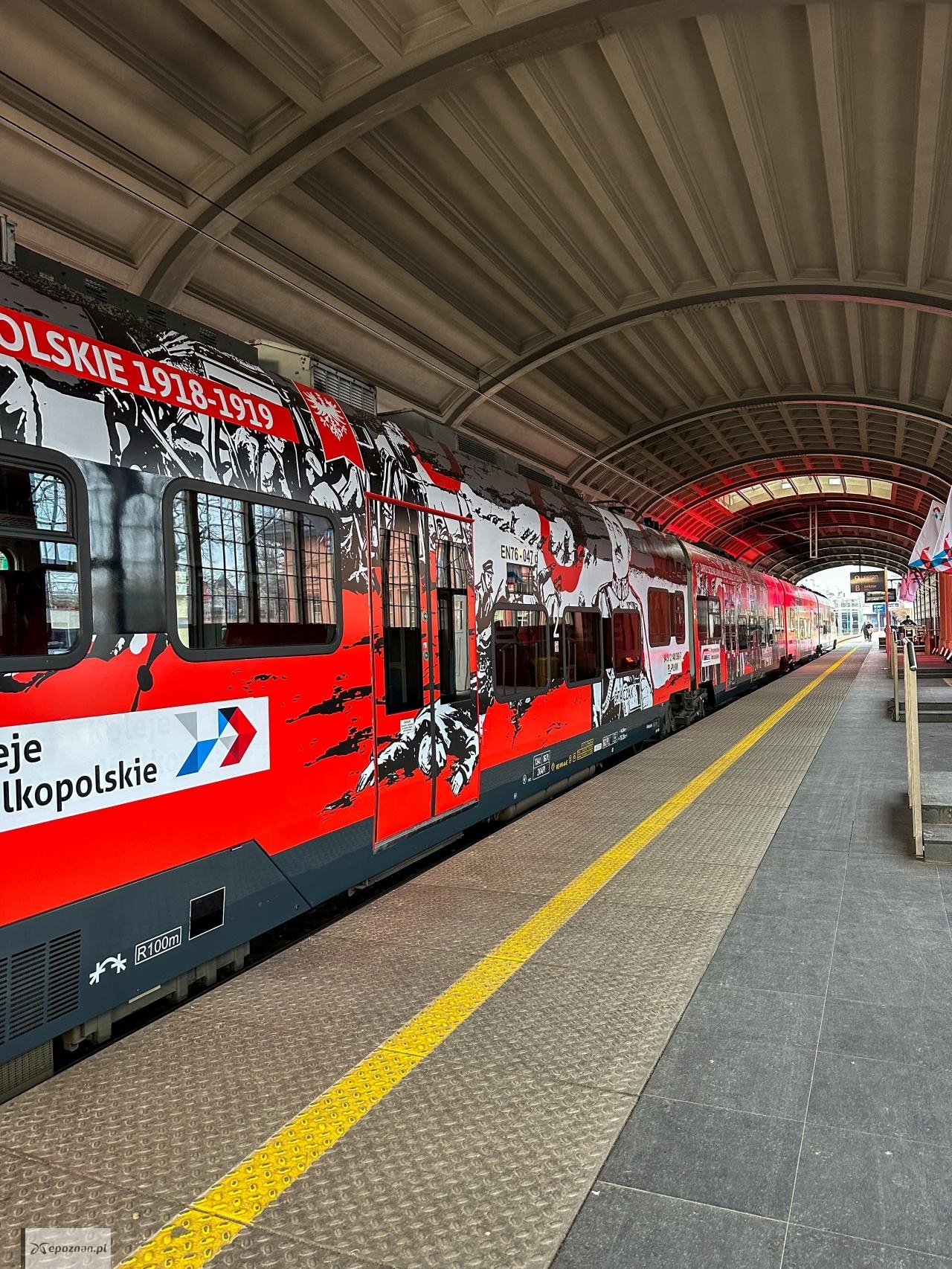 fot. Materiały prasowe