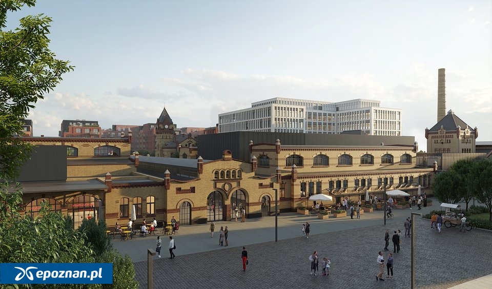 fot. materiały prasowe