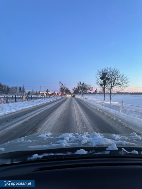 Poznań - Murowana Goślina | fot. Czytelnik