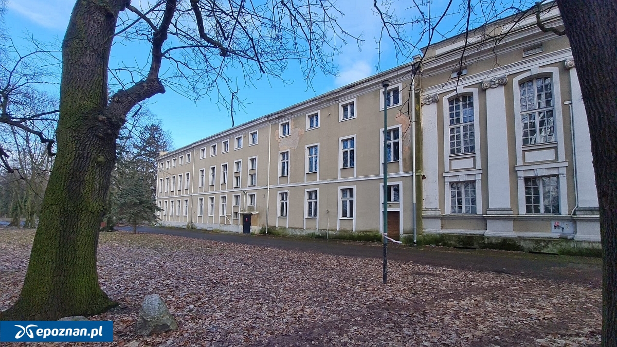 fot. wolsztyn.pl