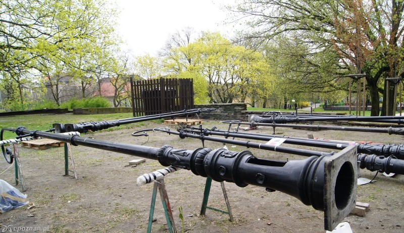 fot. Włodzimierz  Hoppel