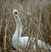 fot. Przemysław Łukaszyk