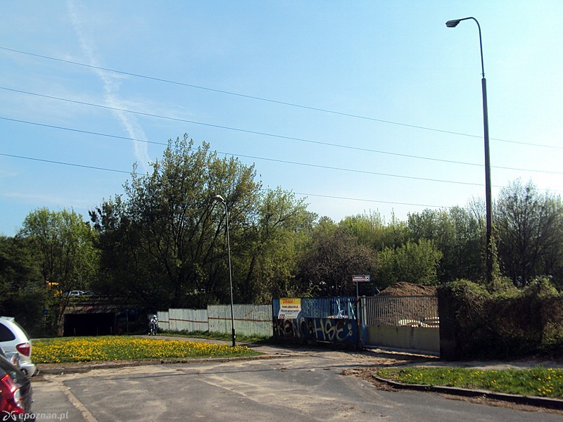 fot. Tomasz Woźniak