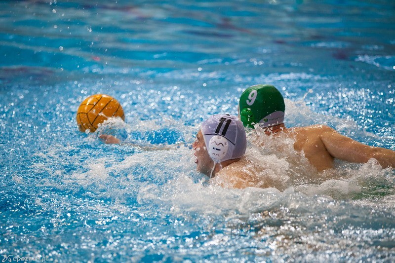 DSW Waterpolo Poznań - Legia Warszawa13:10 | fot. Tomasz Szwajkowski