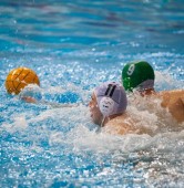 DSW Waterpolo Poznań - Legia Warszawa13:10 | fot. Tomasz Szwajkowski