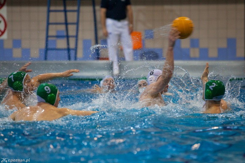 DSW Waterpolo Poznań - Legia Warszawa13:10 | fot. Tomasz Szwajkowski