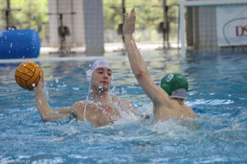 DSW Waterpolo Poznań  - UKPW Legia Warszawa 12:10 | fot. Piotr Krugiołka