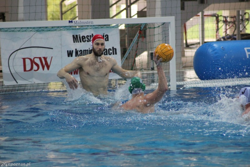DSW Waterpolo Poznań  - UKPW Legia Warszawa 12:10 | fot. Piotr Krugiołka