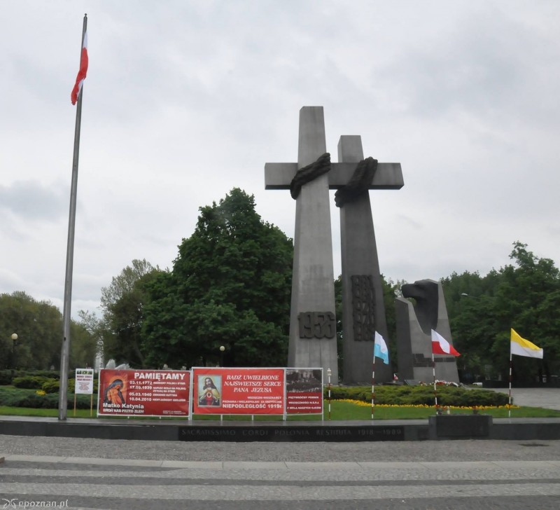 fot. czytelniczka