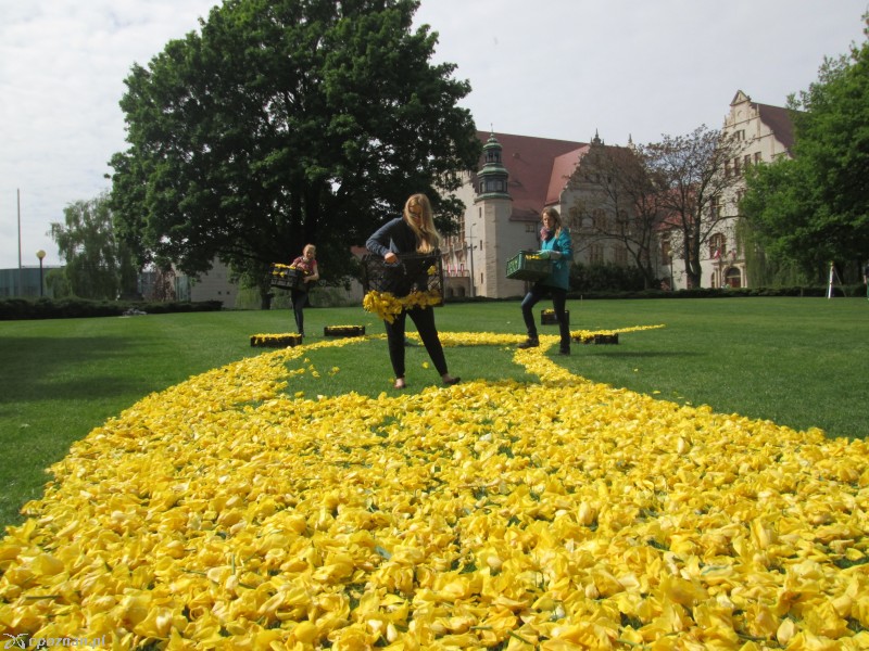 fot. Nishio Poznań