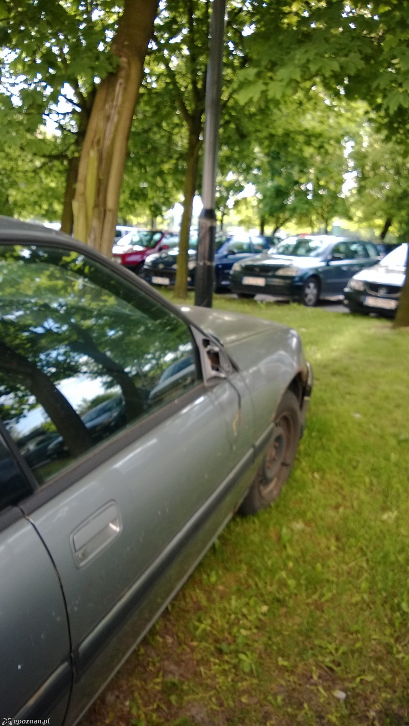 fot. mieszkaniec os. Orła Białego