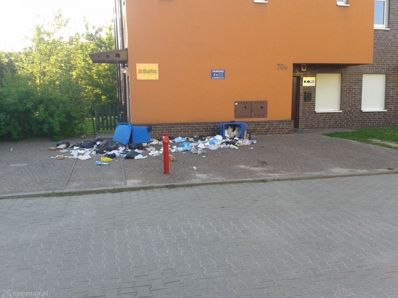 fot. mieszkaniec Błażeja