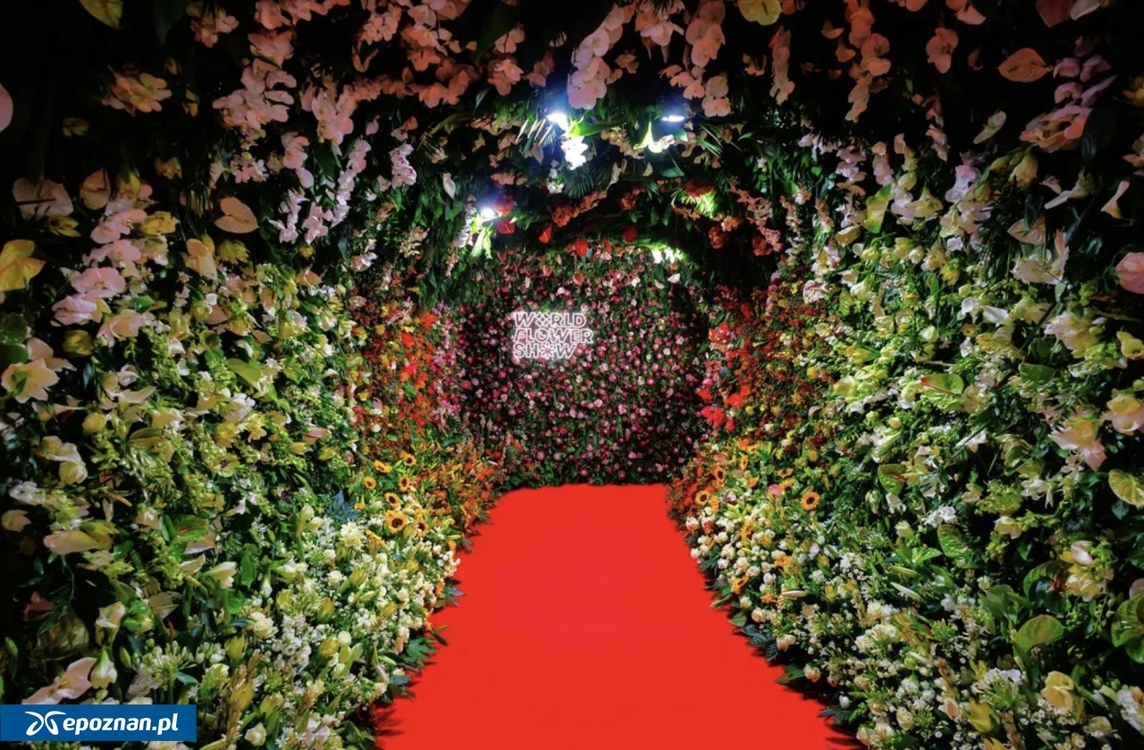 fot. World Flower Show