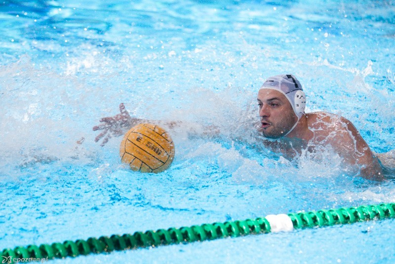 DSW Waterpolo Poznań - GKPW 59 Gorzów 14:9 | fot. Tomasz Szwajkowski