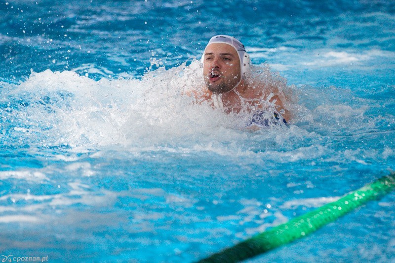 DSW Waterpolo Poznań - GKPW 59 Gorzów 14:9 | fot. Tomasz Szwajkowski