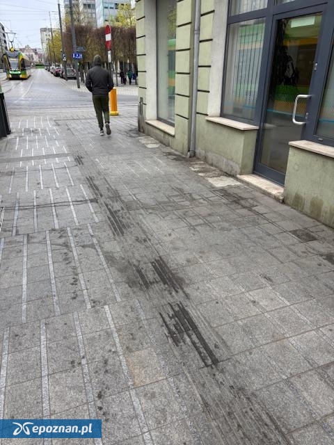 fot. Czytelnik epoznan.life