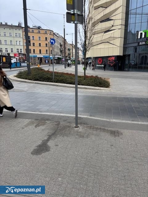 fot. Czytelnik epoznan.life
