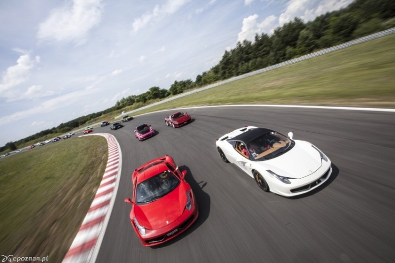 fot. Mild Gran Turismo Polonia