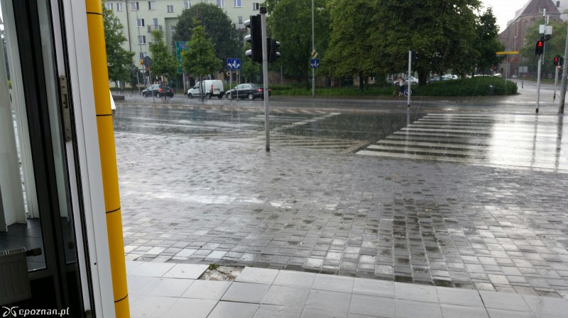 fot. Mariusz Potrawiak 