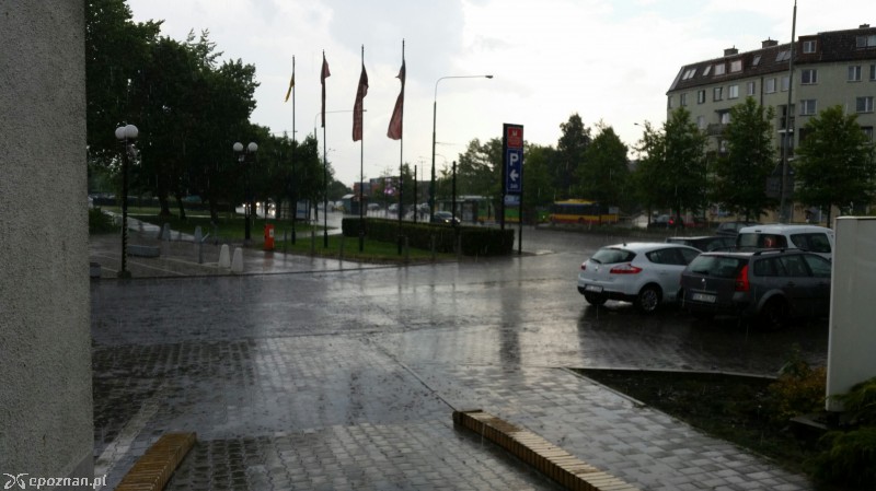 fot. Mariusz Potrawiak 