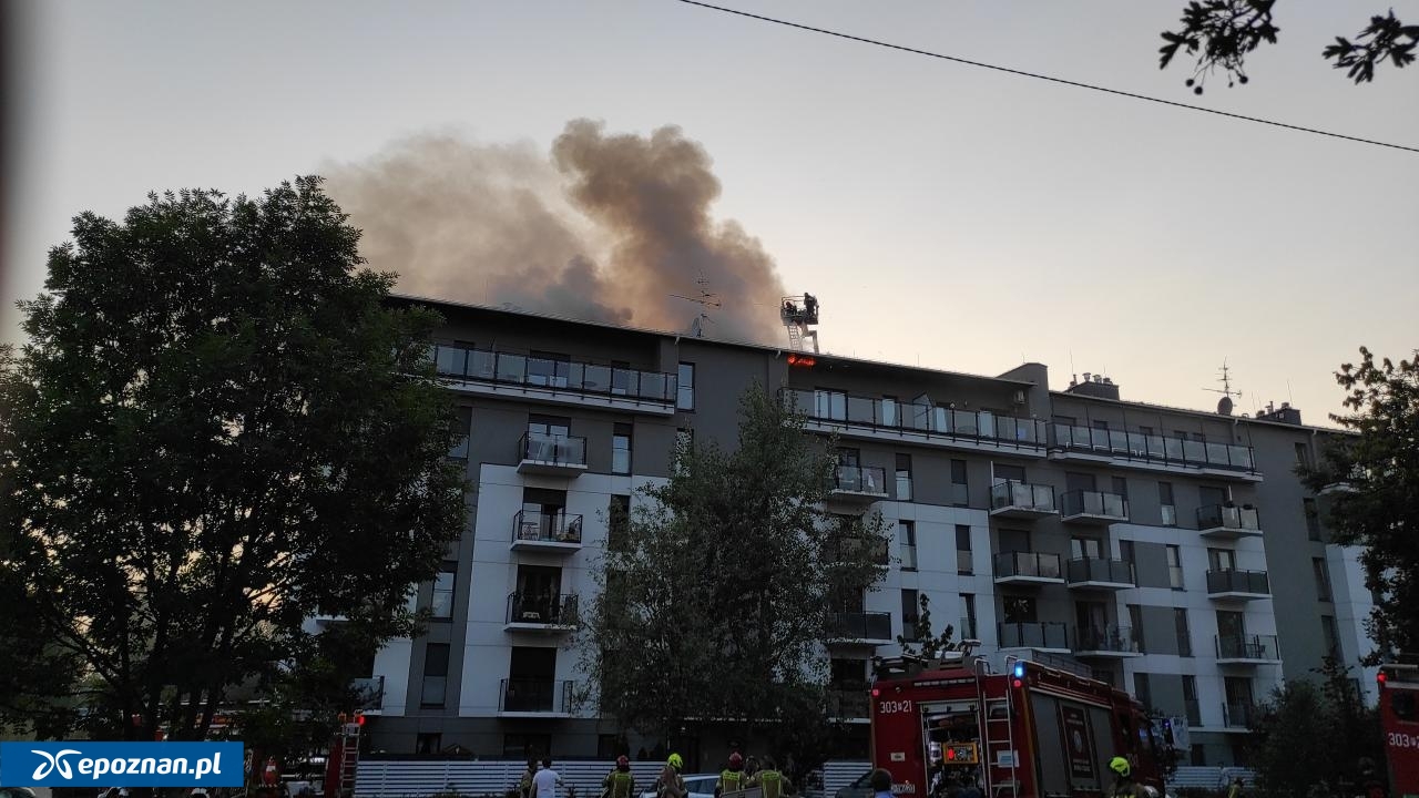 fot. Czytelnik
