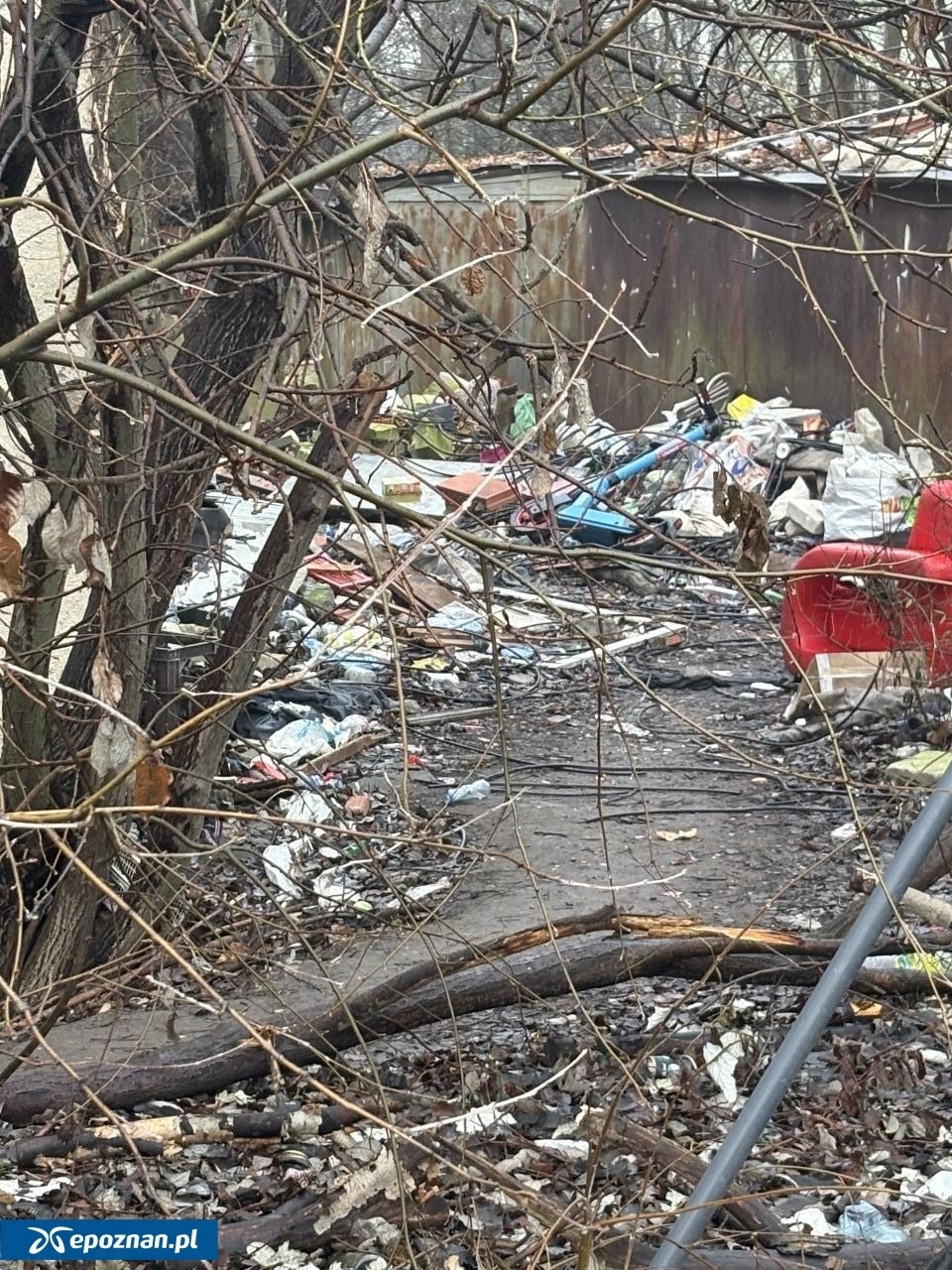 Tak wyglądał ten teren | fot. Czytelniczka