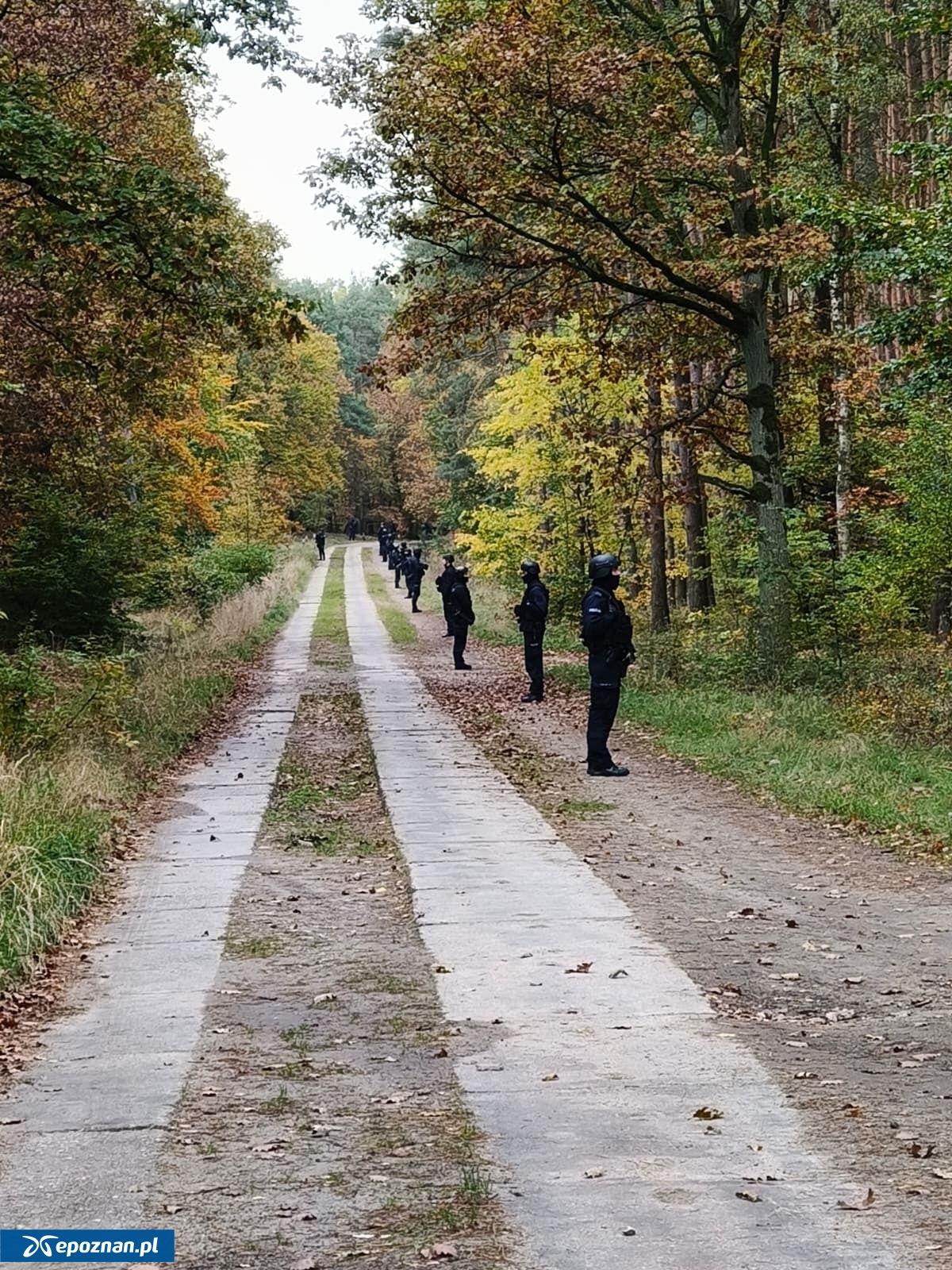 fot. Policja