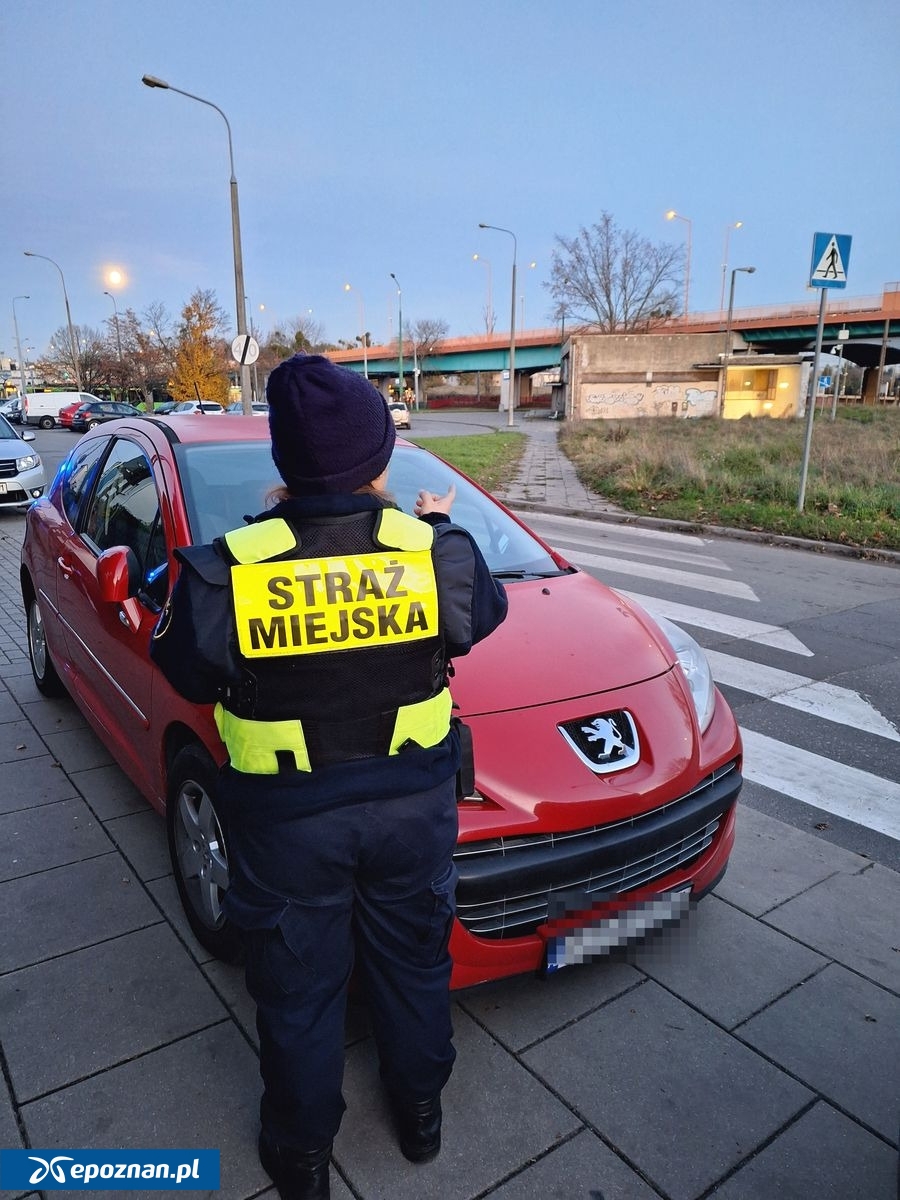 fot. Straż Miejska Miasta Poznania / FB
