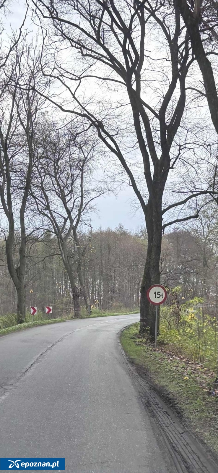 fot. WITD Poznań