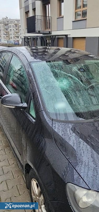fot. Policja