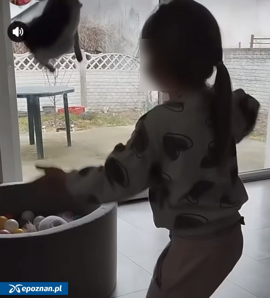 fot. Schronisko dla zwierząt w Kaliszu FB