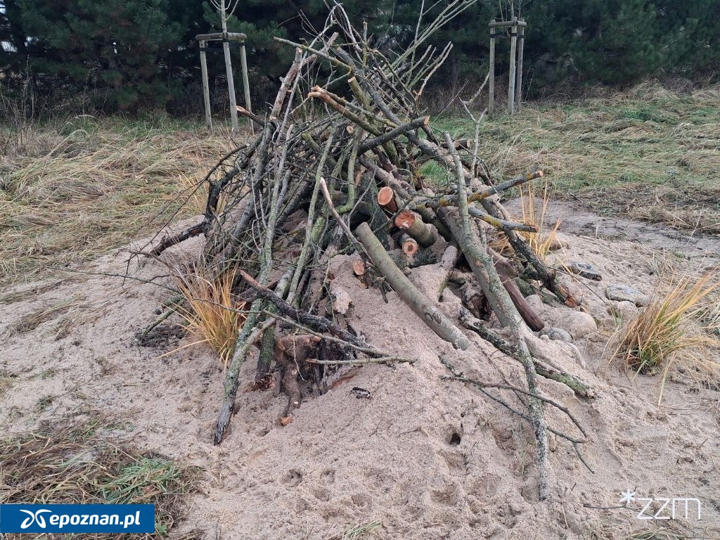 fot. ZZM Poznań