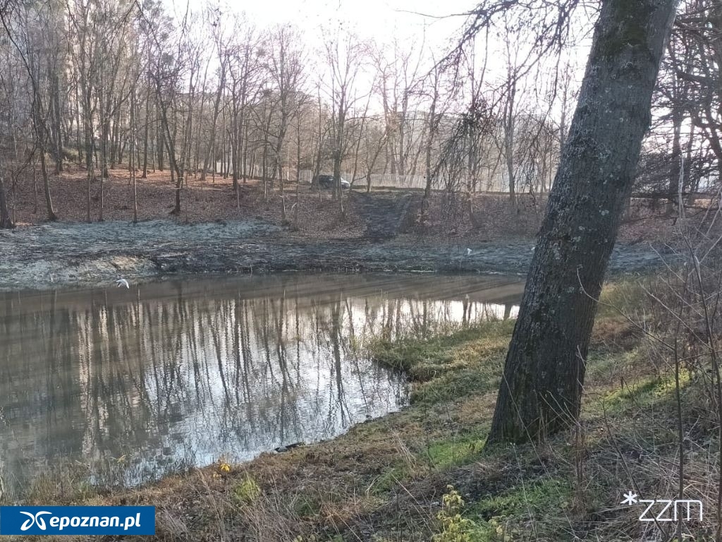 fot. ZZM Poznań