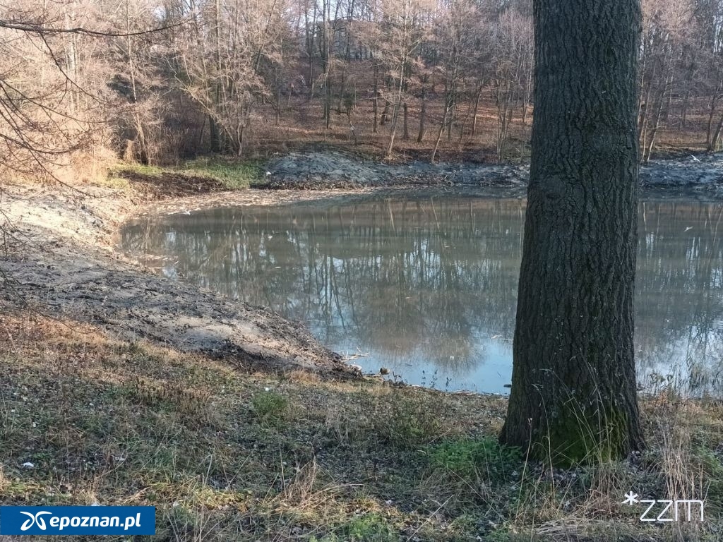 fot. ZZM Poznań