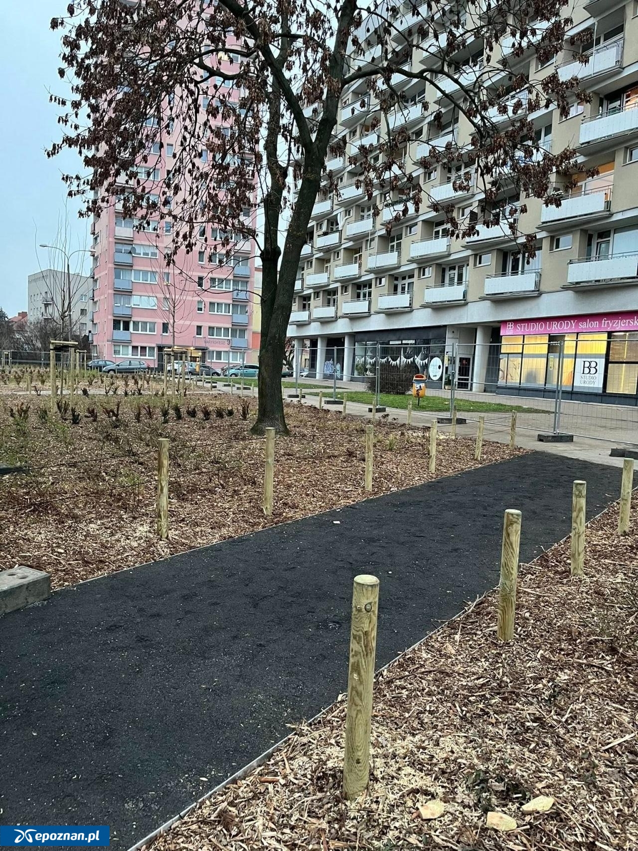 fot. ZZM Poznań