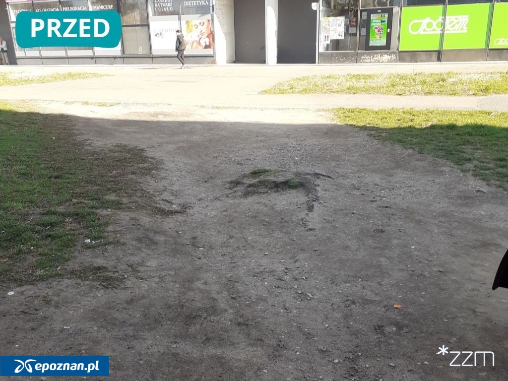 fot. ZZM Poznań