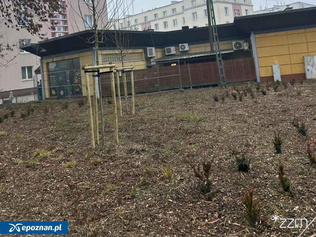 fot. ZZM Poznań