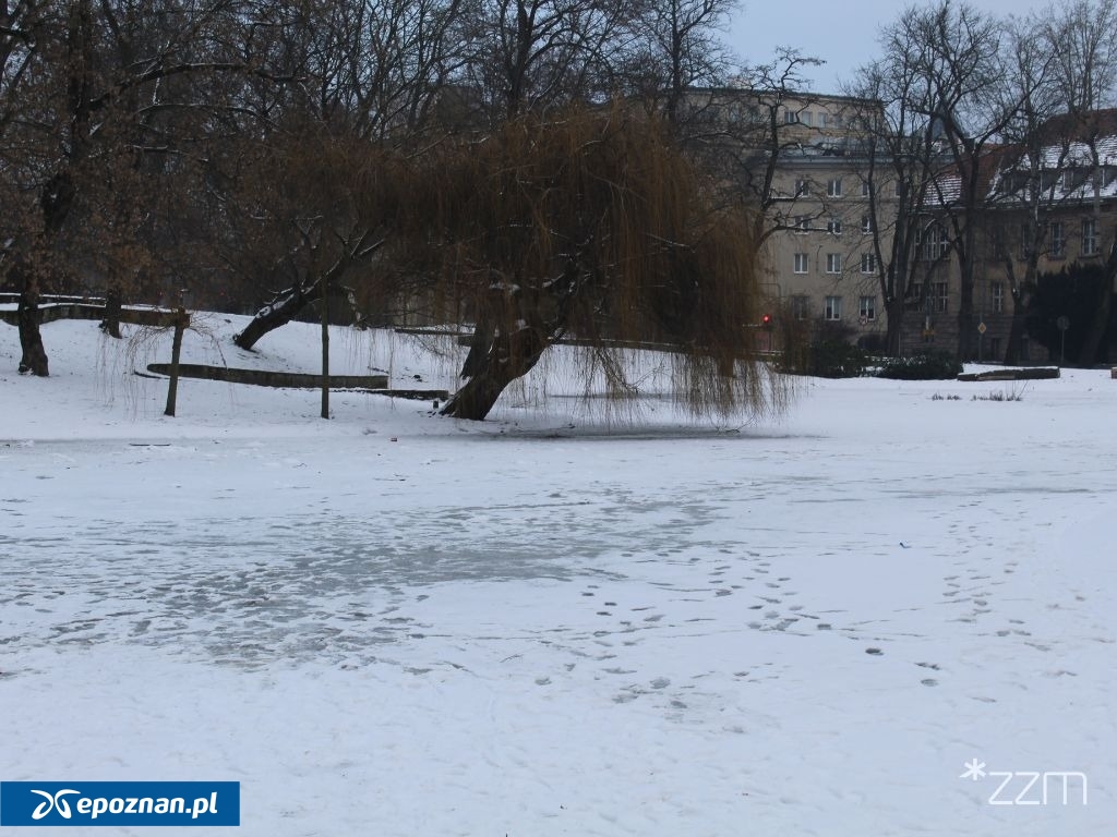 fot. ZZM Poznań