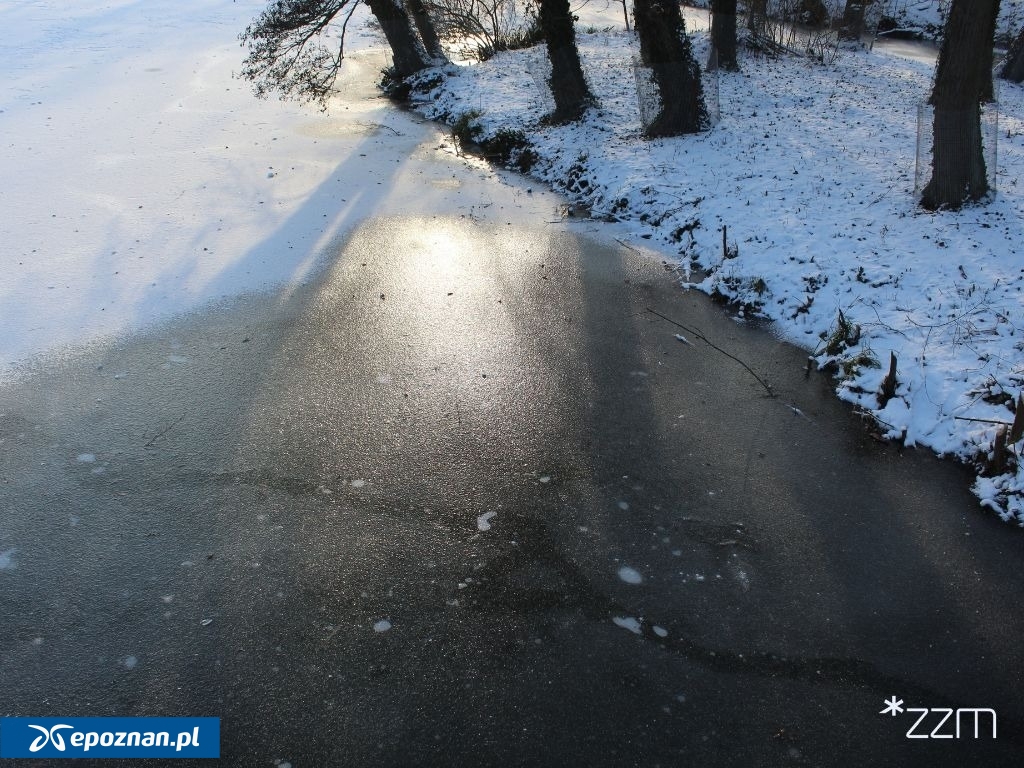 fot. ZZM Poznań