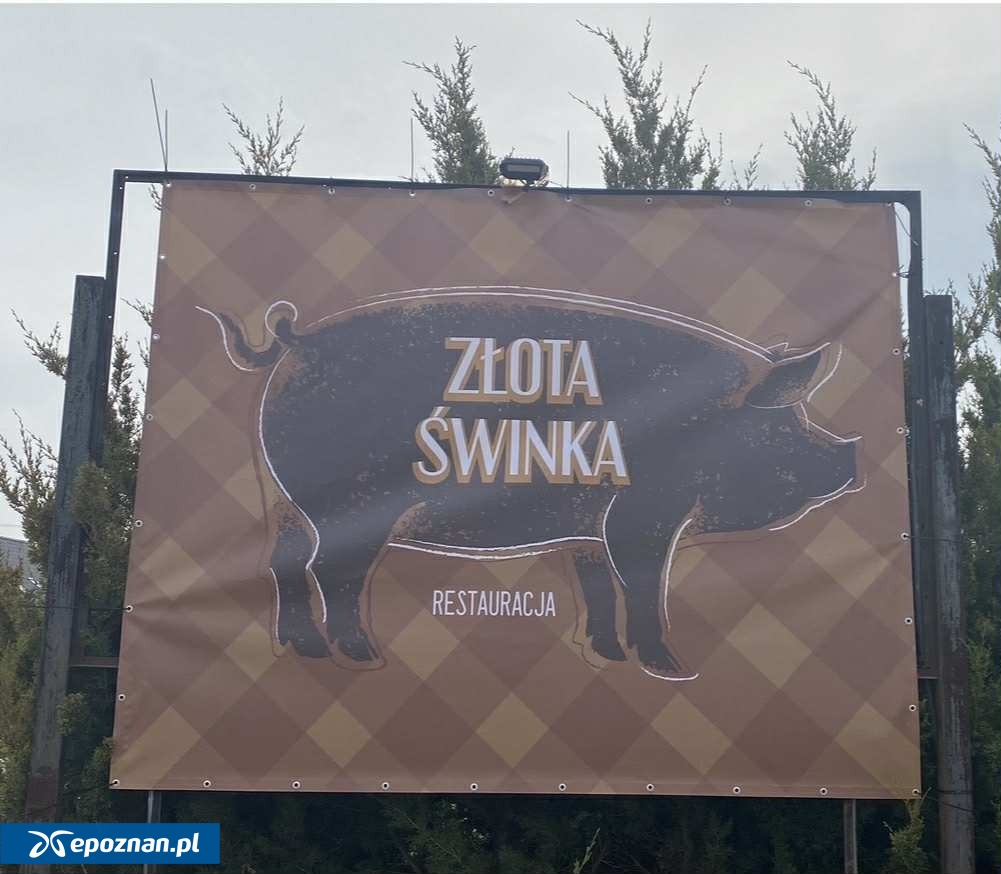 fot. Złota Świnka FB