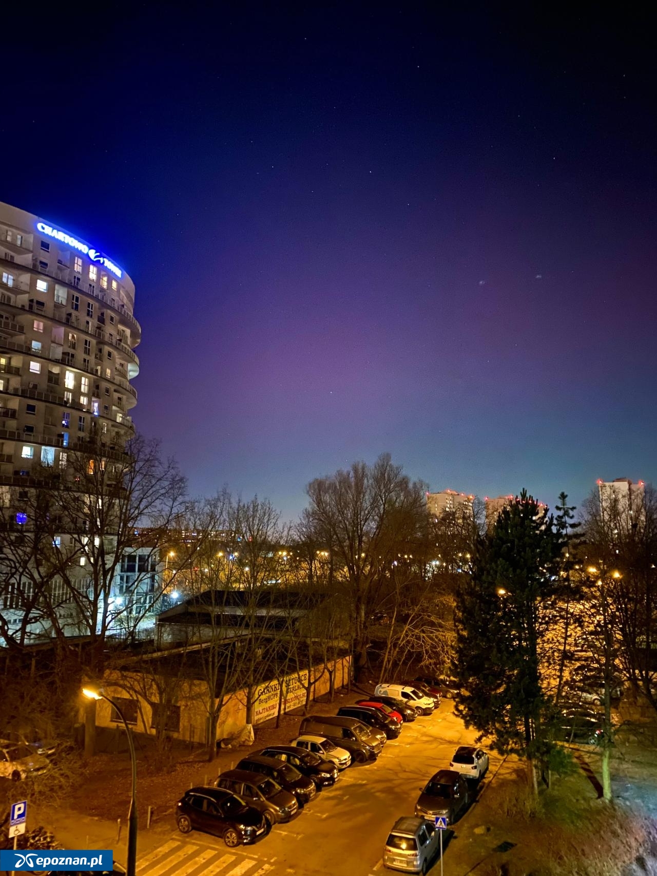 fot. Skorek