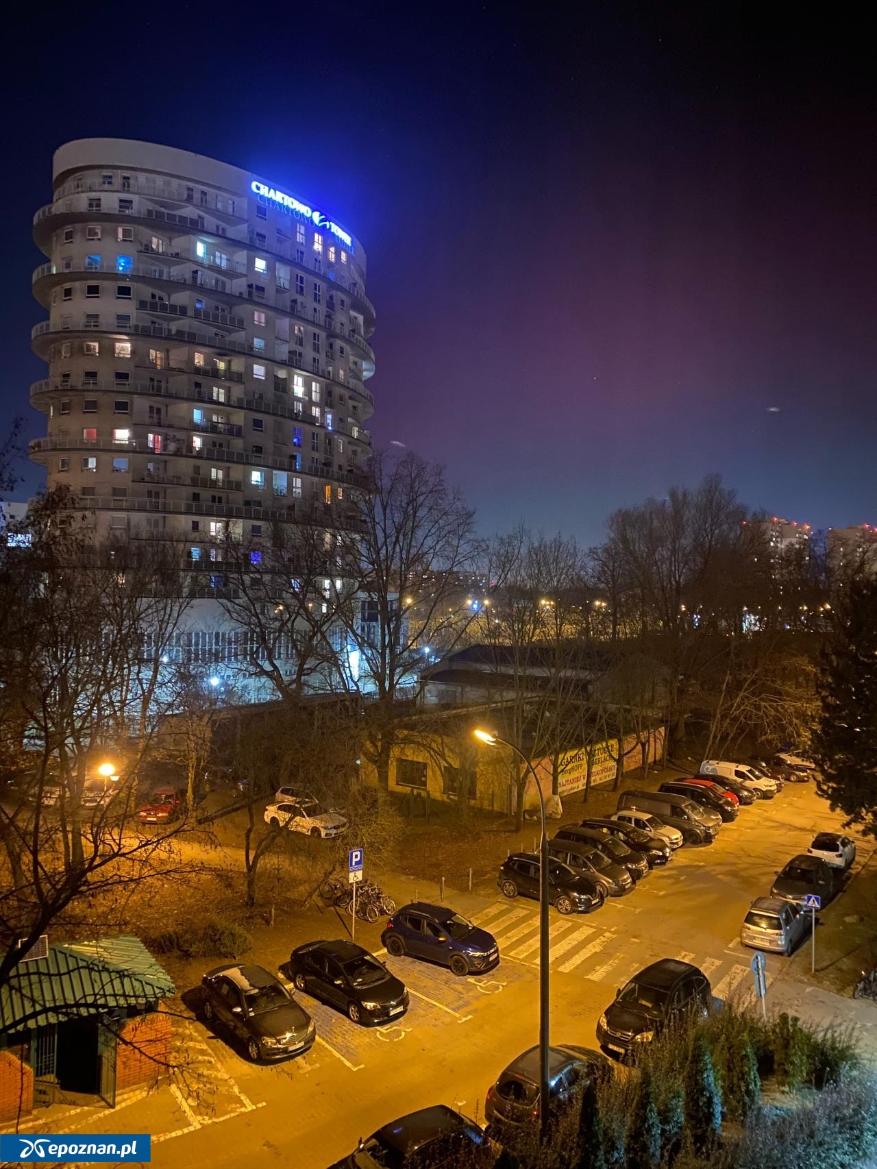 fot. Skorek